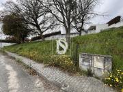 Não definido em UDF de Alvito São Pedro e São Martinho e...