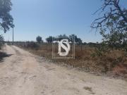 Não definido em UDF de Arez e Amieira do Tejo, Nisa