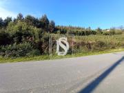 Não definido em UDF de Gamil e Midões, celos