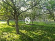 Não definido em UDF de Tomar São João Baptista e Santa...