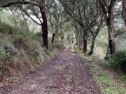 Não urbanizável em Alcanena e Vila Moreira