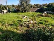 na Lagoa do Cão, Alcobaça, Lagoa do Cão