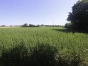 NACHAMPS Poitou Charentes 17380 92191613