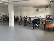 Nachhaltig und Grün: Neubauwohnung im Graumann Park