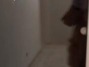 Nachmiete – Wohnung ab sofort verfügbar – frisch renoviert!