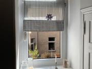 Nachmieter für 3,5 Zimmer Wohnung in Steglitz gesucht!