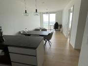 NACHMIETER GESUCHT Neubau GRUNBLICK 2 Zimmer Wohnung mit...