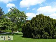 NÄHE HOHE WARTE HELLE UND RUHIGE WOHNUNG MIT GARTENNUTZUNG