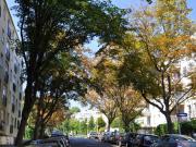 NÄHE HOHE WARTE HELLE UND RUHIGE WOHNUNG MIT GARTENNUTZUNG