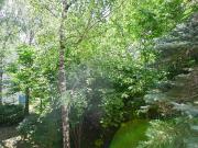 Grün wohnen im 18. Bezirk ideale Starterwohnung mit...