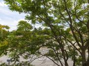 NÄHE ZENTRUM HIETZING REPRÄSENTATIVES ALTBAUBÜRO DIREKT...