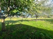 NAINTRE Poitou Charentes 86530 83151509