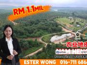 Nam Heng Agricultural Land For