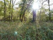 Nançay Vente Terrain 18