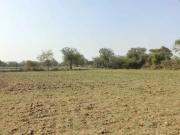 2011 Sq.Ft. Plot in Shela Ahmedabad Listing ID #8669