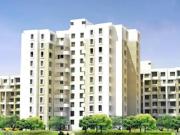 Nanded 1.5 BHK Apartment For Sale Pune
