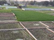 Nandeeka Enterprises 800 Sq.Ft. Plot in Gangapur Varanasi