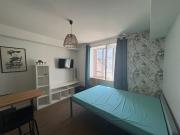 Nantes Location Appartement 44