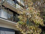 NAPOLES PENT HOUSE CON ROOF GARDEN PRIVADO 3 RECAMARAS