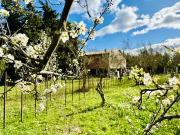 Narbonne 11100 Achat / Vente maison 4 pièces t4
