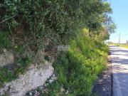 nas Caliças, Lagos, Aldeira