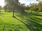 Nassandres sur Risle 27550 Programme neuf terrain neuf à...