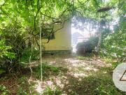 Natur rund ums Haus!