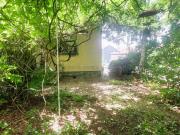 Natur rund ums Haus!