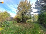 „Natur, Ruhe & Wien Nähe: Exklusives Reihenhaus mit...