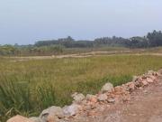 Natures Paradise Phase II,Joka Residential Plot For Sale...