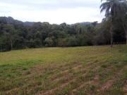 Natureza Exuberante! Lindas Fazendinhas à venda de...