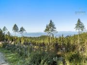 Naturnaher Wohntraum mit Bergblick, Terrasse & großem...