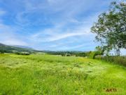 Naturnahes Bauland nur 5 Min. nach Graz. Platz für ihr...