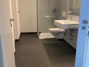 Naturnahes Wohnen direkt an der Limmat