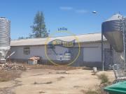 Nave industrial con actividad agroaganadera en Santa...