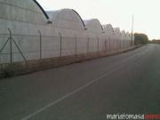 Nave industrial en alquiler en Elche, Elche/Elx