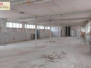 Nave industrial en alquiler en Elche, Sector Quinto