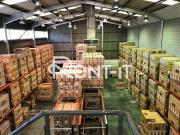 Nave industrial en Alquiler en Molins de Rei