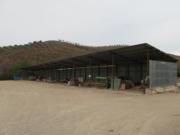 Nave industrial en CR Cordoba Almeria S/N. Paraje...