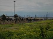 NAVE INDUSTRIAL EN EL POLÍGONO RINCÓN