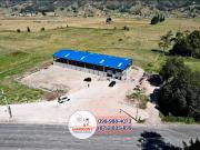 NAVE INDUSTRIAL EN RENTA, Sector Victoria del Portete R235