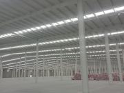 Nave Industrial en Renta Sobre la Carretera Irapuato...