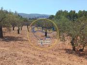 NAVE UBICADA EN AMPLIA PARCELA EN ONTINYENT