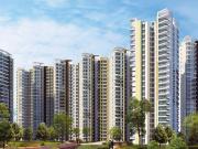 Sector 107 3 BHK Apartment For Sale Noida