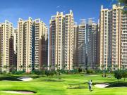NBCC Golf Homes,Sector 4 Greater Noida West 3 BHK...
