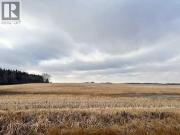 Ne 6 47 17 W4, Rural Camrose County, AB, T0B 0Y7 vacant...