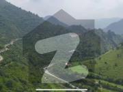Near dino valley nature hill views awsome location