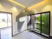 Near Gold Crest Mall 5 Marla Lavish Bungalow For Rent In...