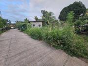 Near Villa Constancia 118 SQM CORNER LOT FOR SALE...