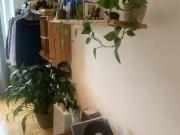 Neat apartment in Essen central, Essen Amsterdam...
